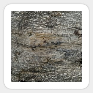 Birch Tree Forest Fluid Pour Sticker